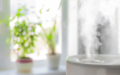 How to Maintain Indoor Humidity in Winter